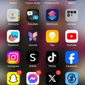 iPhone Home Screen with Popular Apps